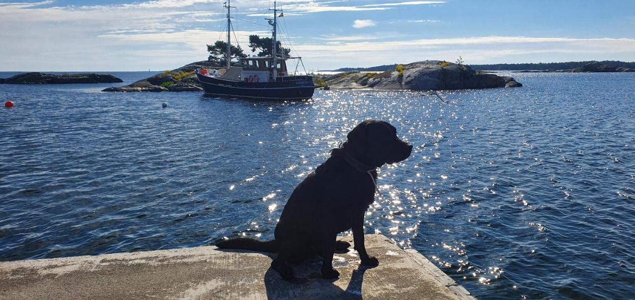 Moeja Stuga I Stockholms Skaergard 外观 照片